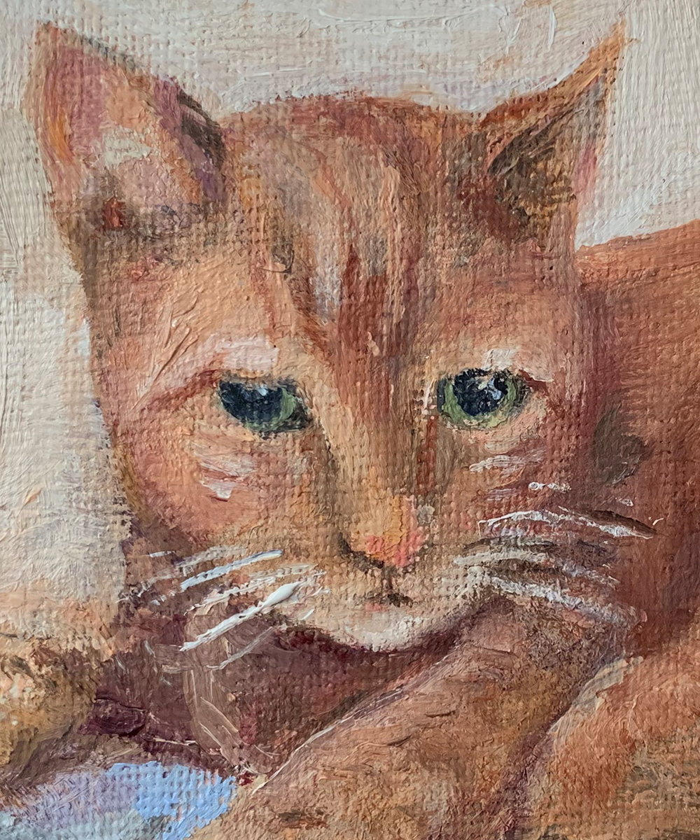 Atticus, head study