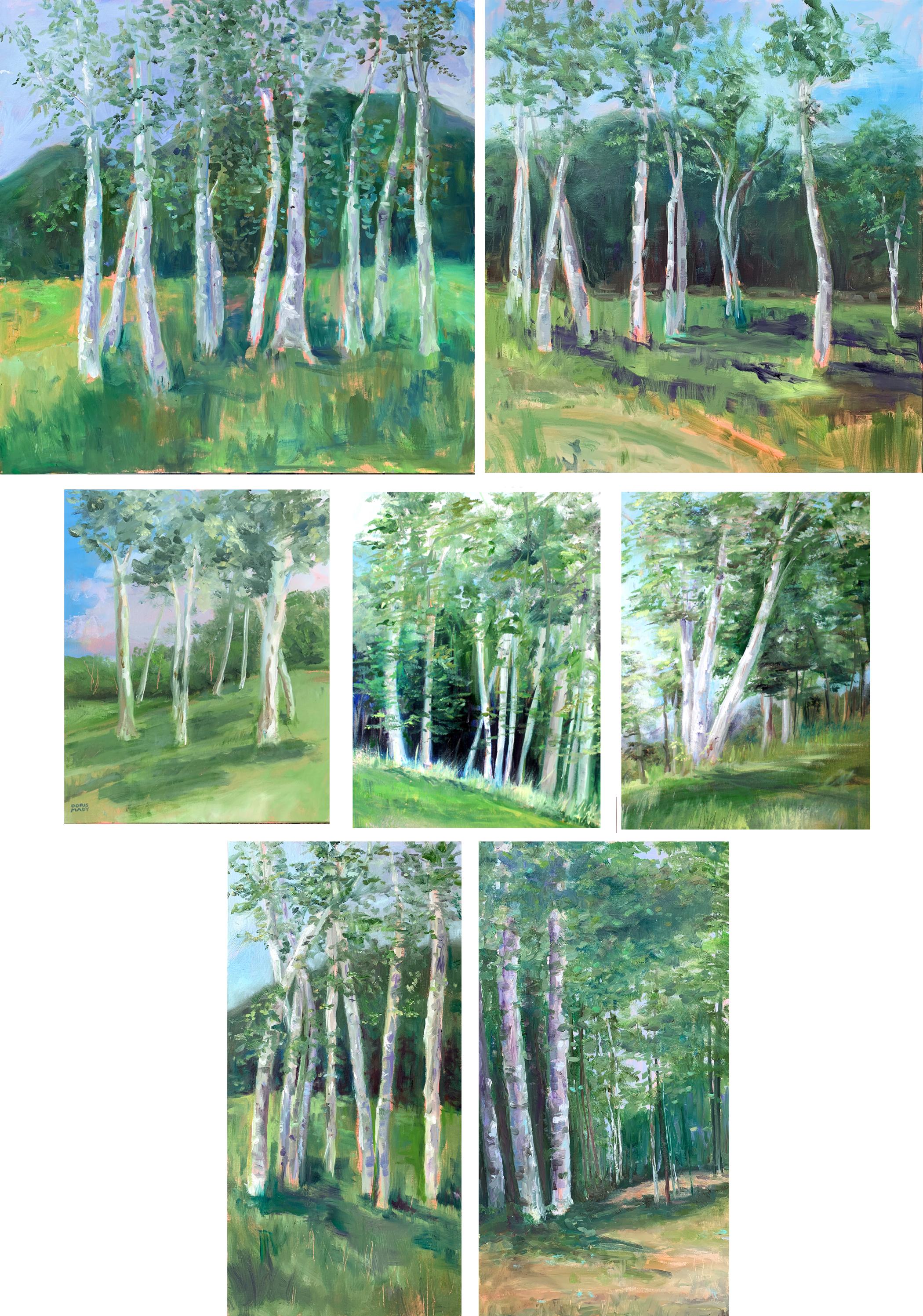 Multiple birch paintings I've done