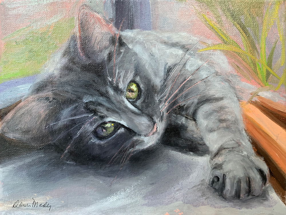 Alison's cat