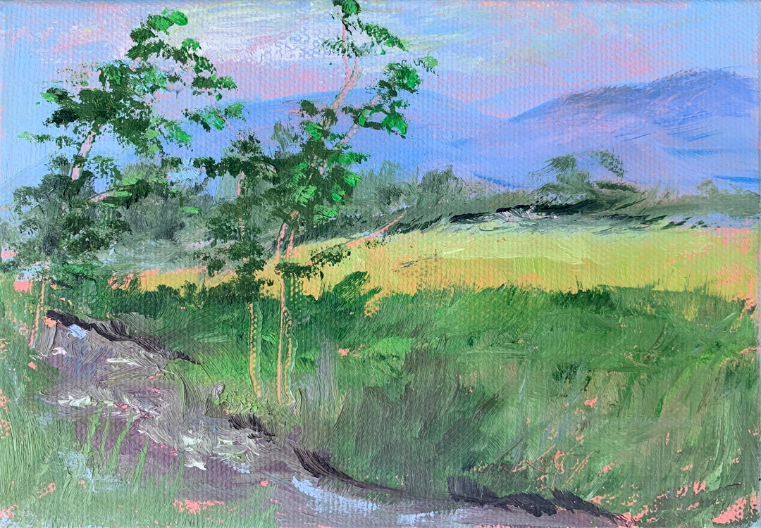 A quick study: June in Manchester, VT