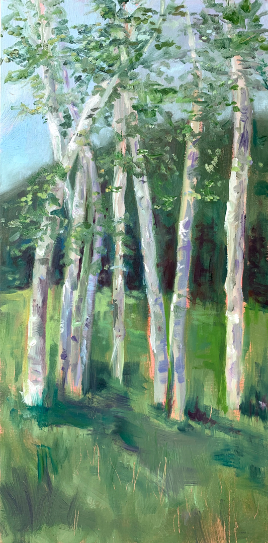 Tall Birches 